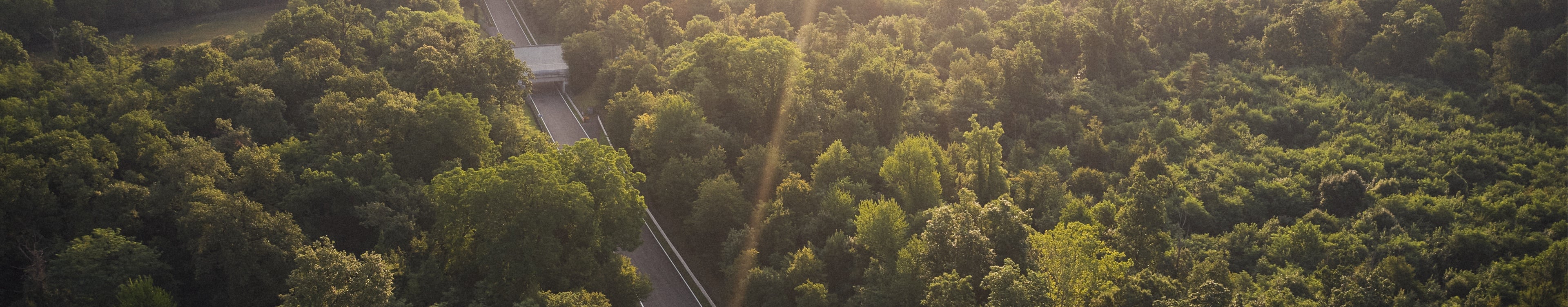 Nordschleife in the Eifel from a bird's eye view